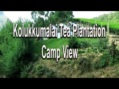 kolukkumalai-tea-plantation-camp-view-[-theni,-tamil-nadu,-india-]