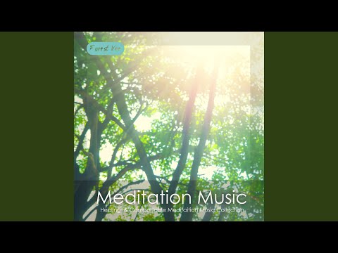 명상음악 - 치유 Forest Version