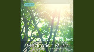 치유 Forest Version - 명상음악
