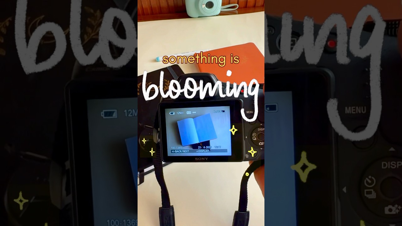 🗓️ Launch details dropping soon. Follow @bloompagesandco on instagram 