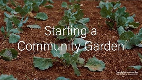 Starting a Community Garden