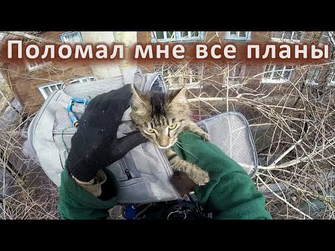 Видео: Типичный Васька в типичной местности