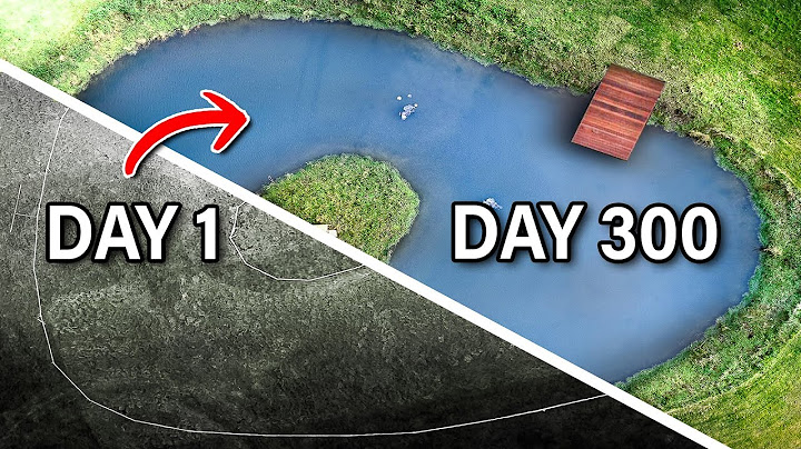 Building a MASSIVE Wildlife Pond! (Start to Finish)