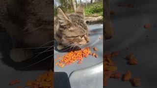 King Edward Is Angry