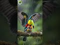 The Most Emotional Nature Moment You Will See Today #MotherBird #NatureLove #BirdLife #Rain