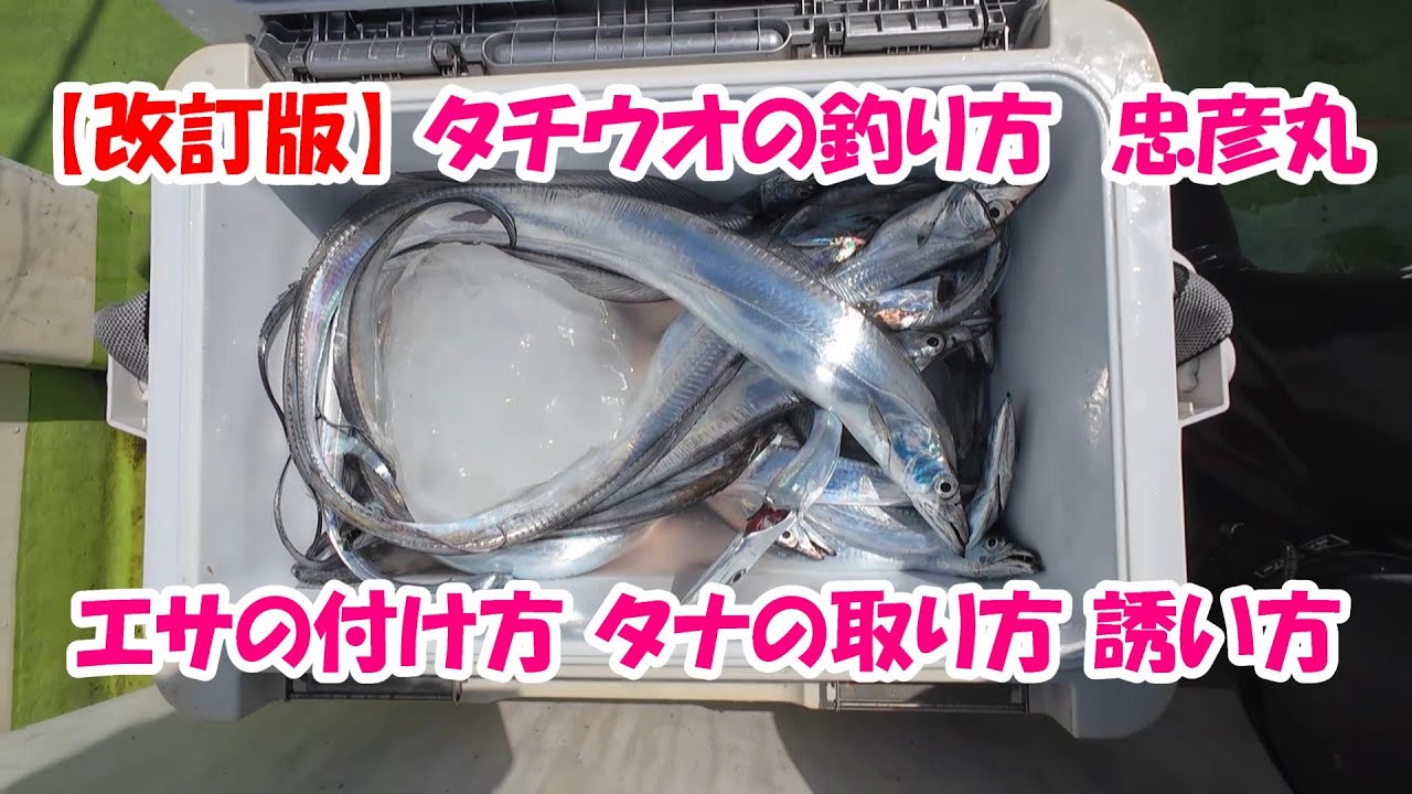 【東京湾 天秤タチウオ】船長の教え通りにやったら今度は2番手になっちゃった！ラスト30分で一気に2番手に浮上