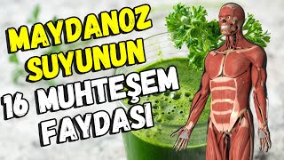 Maydanoz Suyunun Sağlığa 16 Muhteşem Faydası