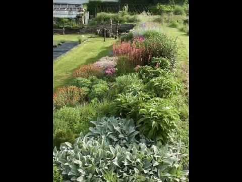 Video: Crocosmia - výsadba a starostlivosť. Kvet Crocosmia (foto)