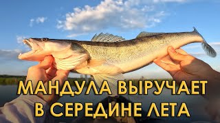 картинка: Судак обожает эту проводку приманки! Запоминайте, пробуйте! Спиннинг в городе, на Казанке.