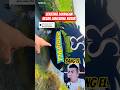 Abang nya kasian banget layangan layangan jumbo nya rusak #shorts #reactionvideo #react #eldanboy