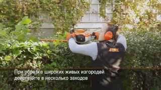 Мотоножницы Stihl HS 82 T нож 60 см.