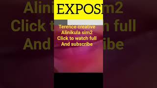 Terence creative alinikula sim2