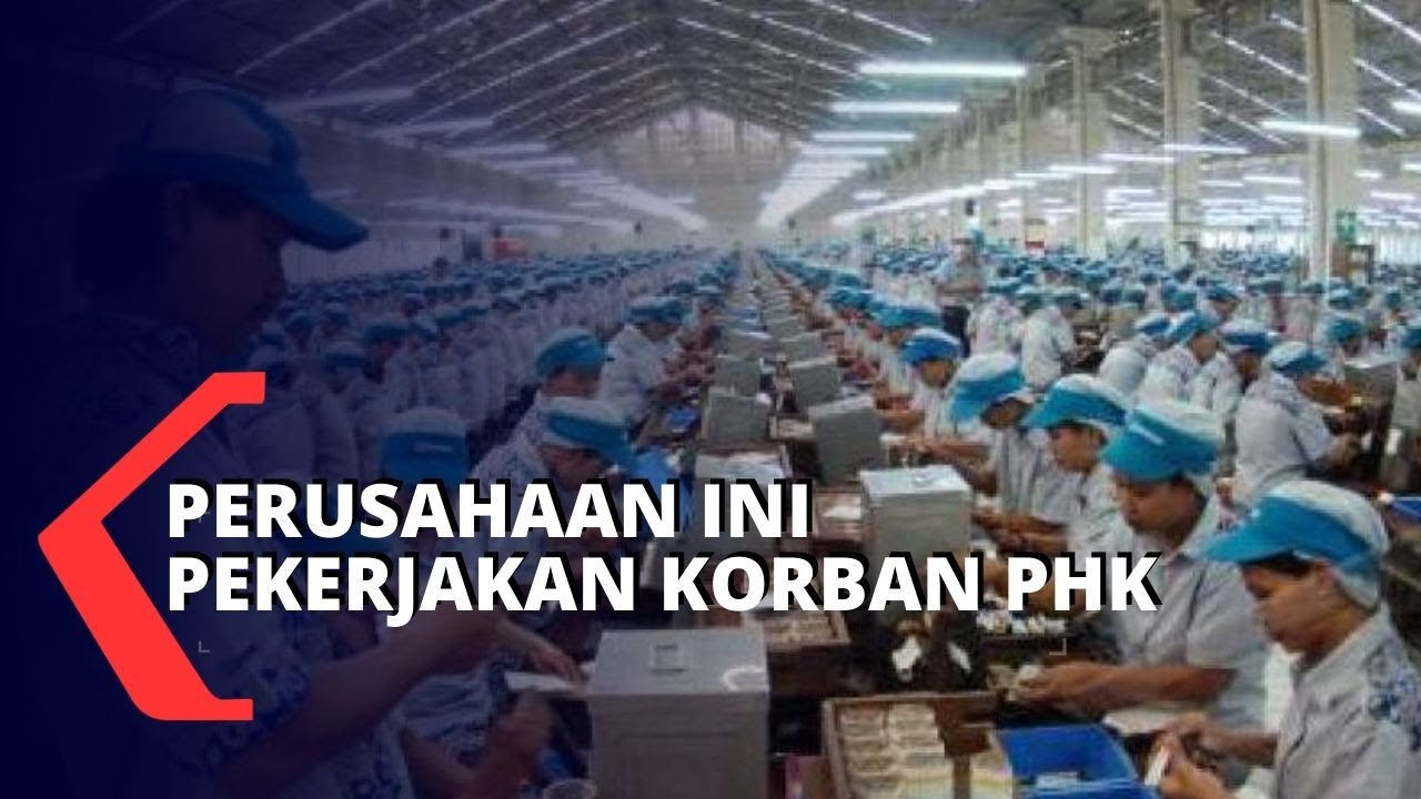 Beda Dari Yang Lain, Perusahaan Ini Pekerjakan Ratusan Korban PHK