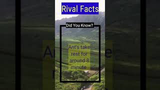 Did You Know Facts #2 |The Amazing Fact | Rival Facts #Shorts #RivalFacts