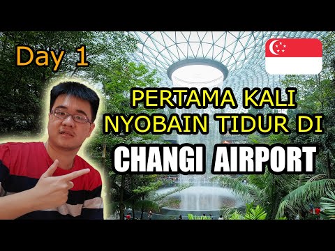 Video: Bandara Terbaik Untuk Tidur