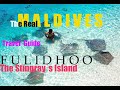 MALDIVES | FULIDHOO ISLAND | TRAVEL GUIDE  2021  4K  #budget #budgettravelling #diving #snorkeling