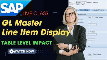 SAP GL Master Line item Display impact | DS SAP FICO Classes |