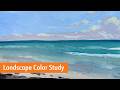 What We Can Learn from Doing a Color Study