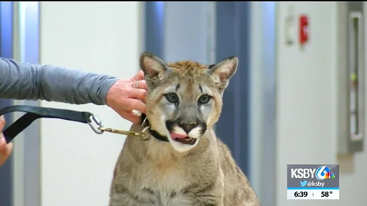 Zoo to You visits students at Santa Maria junior h...