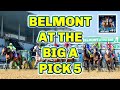 Belmont at the big a pick 5 preview  the magic mike show 547