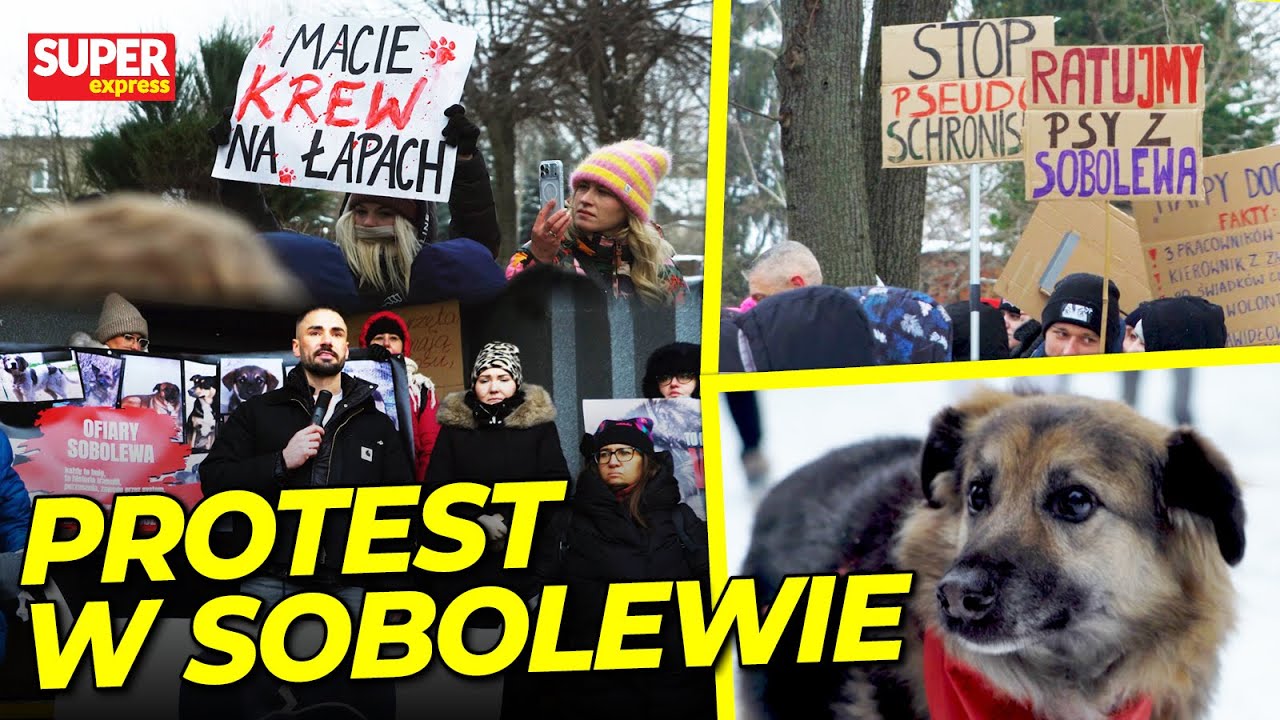 "TO JEST UMIERALNIA" ODWIEDZILIŚMY SCHRONISKO W SOBOLEWIE