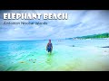 Elephant beach  havelock  andaman and nicobar islands