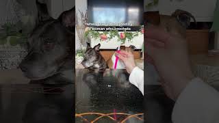 When You Get Adopted By A Woman Who Crochets