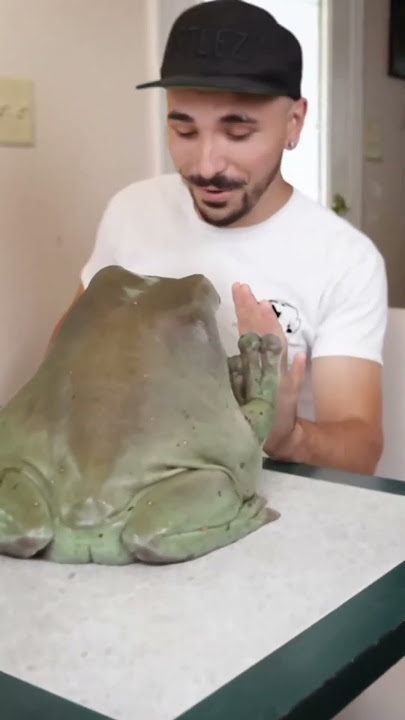 Top 5 Animals That Bring Good Luck and Prosperity to Your Home.