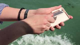 Iphone Selfie Stick Case For The Iphone 6, Iphone 7, Iphone 8 And Iphone Se 2020
