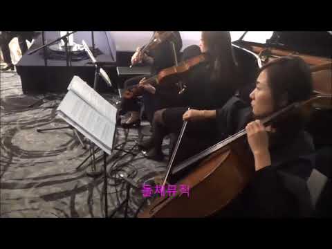 노보텔강남웨딩, 웨딩연주, 결혼식BGM [유모레스크 Humoresque]