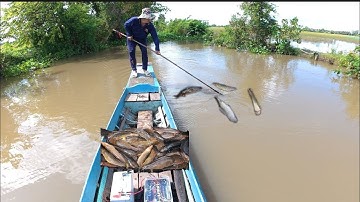 100₫ / Kích Lạnh Cơ Chuyên Thả Cáp Cá Da Trơn Bắt Cá Trê,Lăng, Bò,Kết Leo, Thác Lác 