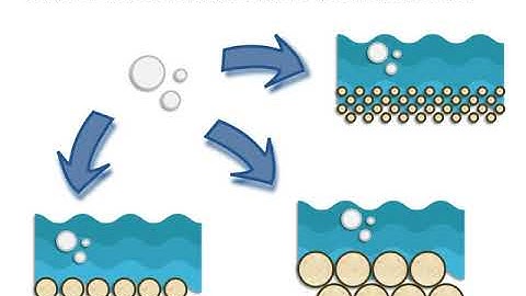 Fate and Transport on Nanoparticles in Streams