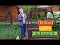 САЖАЕМ ОГУРЦЫ ТАК, ЧТОБЫ СОБРАТЬ УРОЖАЙ НА 2 НЕДЕЛИ РАНЬШЕ ОБЫЧНОГО!!!