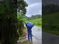 Walking Through a Charming Village After the Storm: Calm and Refreshing #greenvillage #cigarette