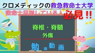 聞き取り用‼【救命士国家試験対策】YouTube超時短学習!!「脊椎・脊髄外傷」