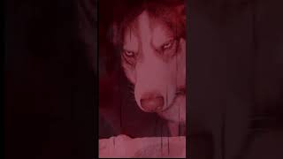 The Amanda Bopamanda Send A Video Of U Twerkin To Ts Ft Alter Above