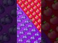 your fevorite fruit