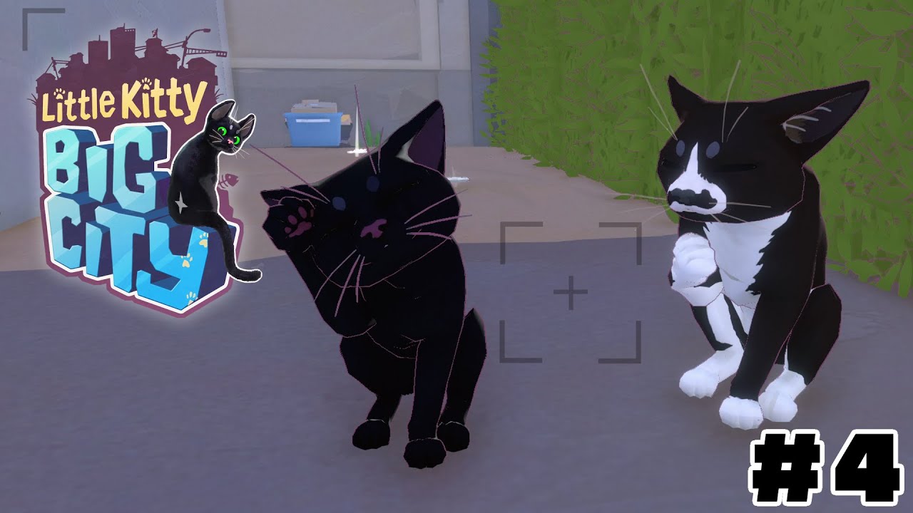 荒れ地のねこ 7218156_DxO-Edit-500x378.jpg