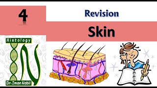 Skin revision 2022-First year