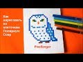 Полярная Сова Как рисовать по клеточкам Пиксель How to draw Polar Owl Pixel Art