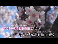 (新曲) 歌姫/西尾夕紀 cover eririn