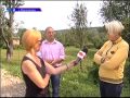Екологи борються за чистоту довкілля 