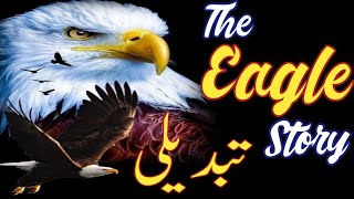 Eagle Story - Best Inspirational Urdu Hindi  | Eagle Story || Best inspirational video