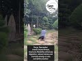 Surya Namaskar ||Omkar Yoga||#suryanamaskar #healthylifestyle  #sun #viral #nature #universalenergy