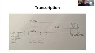Genetics Exam 4 Mini Video