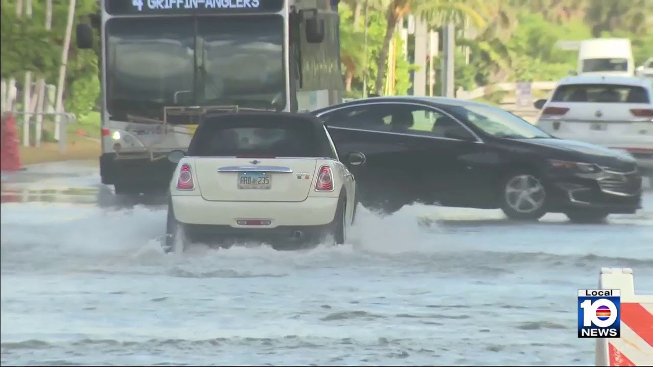 Flooding spotted throughout South Florida due to king tides - YouTube