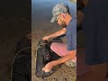 Crayfish