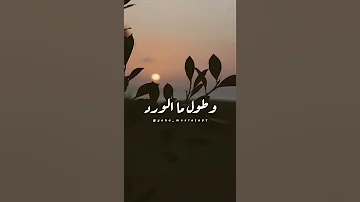 حالات واتس احمد سعد دلوقتى ومع الايام 