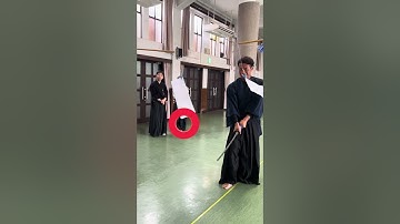 Japanese Sword 9 Continuous Cutting Swords🗡️