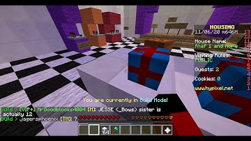 Hypixel housing bug: invisible